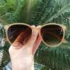 saline.com.br oculos de sol amara marrom transparente 2