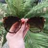 saline.com.br oculos de sol redondo tabata oncinha 3