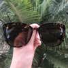 safine com br oculos de sol gatinho tartaruga paty
