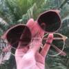 safine com br oculos 2 em 1 redondo dourado com nude nora 3