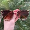 safine com br oculos de sol gatinho tartaruga transparente aline