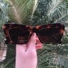 safine com br oculos de sol gatinho tartaruga jade 2