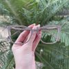 safine com br oculos de grau quadrado nude dafne