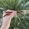 safine com br oculos de grau feminino gatinho transparente catarina