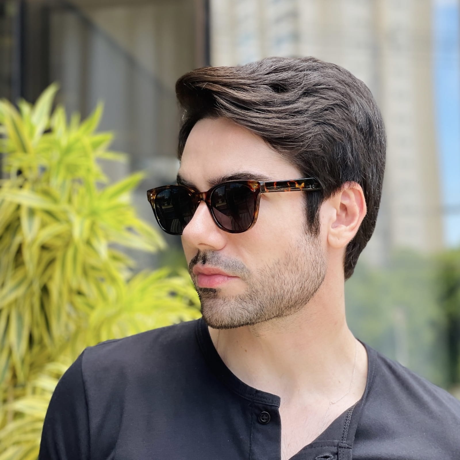 safine com br oculos de sol masculino quadrado tartaruga alan 2 safine com br oculos de sol masculino quadrado tartaruga alan 2